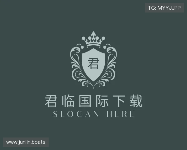 介绍君临国际下载